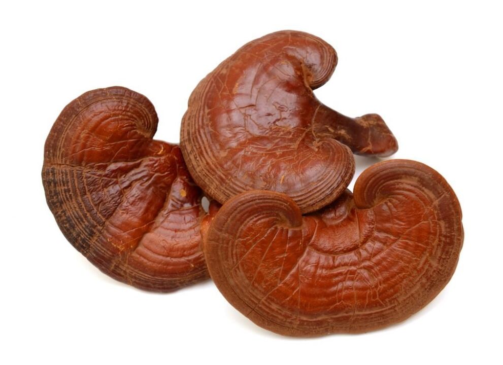 Weiprost obsahuje huby reishi